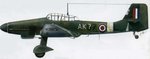 British Ju87D.jpg