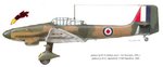 captured_ju87d.jpg