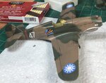 Weathered and flat coated - rgt side.jpg
