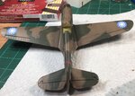 Weathered and flat coated - top back view.jpg