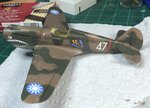 Weathered and flat coated lft side.jpg