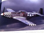 P-51 # 174 BBD overall shot.JPG