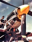 P-51D-10-NA 44-14523 USAAF 385th FS364th FG as 5E-x. 1945 USAAF 434th FS479th FG as L2-K..jpg