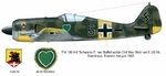 Fw190A6 5JG54 black5 1943_.jpg