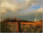 After The Storm, Kansas.jpg