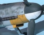 Cowl close up_1027.JPG