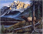 Andrew Kiss ~ Mountain Alphabet E, De.jpg