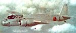 ki49.jpg