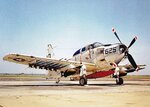 IMG_20130916_0040.jpg