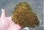 102_2982.jpg