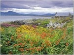 Carna Bay, Ireland.jpg