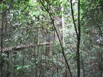 IMG_2211.JPG