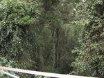 IMG_2216.JPG