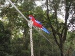 IMG_2214.JPG