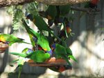 IMG_2363.JPG