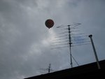 IMG_2239.JPG