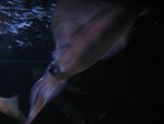 4106.JPG