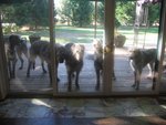 the gang 11-07.jpg