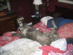 Tammy in the sack 325.jpg