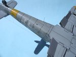 Lower shot_1355.JPG