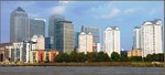 Canary Warfe copy.jpg