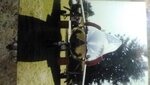 IMG_20201107_144410.jpg
