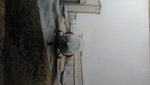 IMG_20201107_144822.jpg