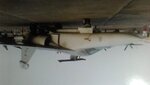 IMG_20201107_145009.jpg