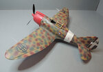 DSCN2937.JPG
