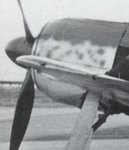 Fw190A-5_Priller_Cowl_7298.JPG