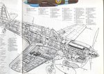P40E Cutaway_b.JPG