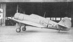 Hawk_KQ_ZA_484x278.jpg
