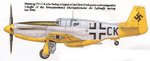 P51 T9+CK after olive drab removed.jpg