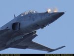 swissf-5.jpg
