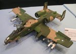 Aussie A-10_0075.JPG