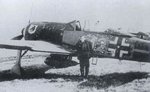 Fw190A-8_R2_Yellow 12_Lixfeld_JG 300a.JPG