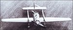 ant-23_1.jpg