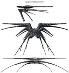 cruiser_battlecrab.jpg