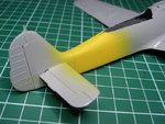 Yellow Band_1594.JPG