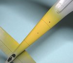 Yellow Band_1624.JPG