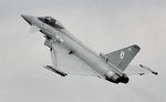 Typhoon 2008 1.jpg