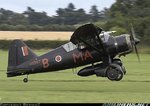 Lysander, BernieC.jpg