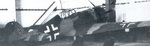 DXXI-0011.jpg