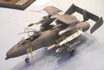 Marine A-10_0230.JPG