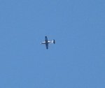 IMG_3222 1.jpg