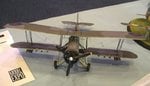 Swordfish_9873.JPG