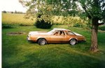 T-Bird.JPG