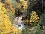 Autumn Color, Coquille River, Oregon.jpg