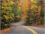 Autumn Colors Road.jpg