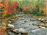 Autumn Colors, White Mountains, New Hampshire.jpg